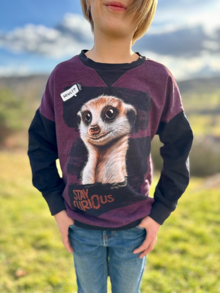 Bild 1 von Klimperklein eBook Sportlicher Sweater 104 bis 170 Schnittmuster mit 3 Teilungen Beamerdatei Ebenen