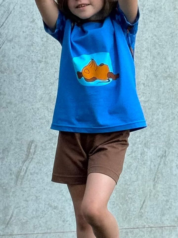 Bild 1 von Klimperklein eBook Lässiges Shirt - Locker geschnittenes Unisex-Shirt Größe 104-170 mit Beamerdatei