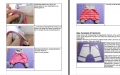 Bild 5 von Klimperklein ebook Checkerhose Größe 44-104 mit Beamerdatei Baggyhose  Mitwachshose